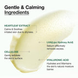 ANUA HEARTLEAF+ENZYME PORE CLAY PACK 100ML